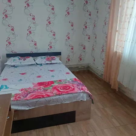 Camelia Guest house *
