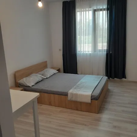 Camelia Guest house *