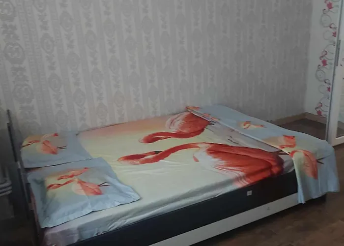 Guest house Camelia 3*