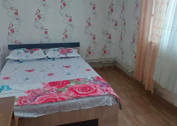 Camelia Guest house 3*