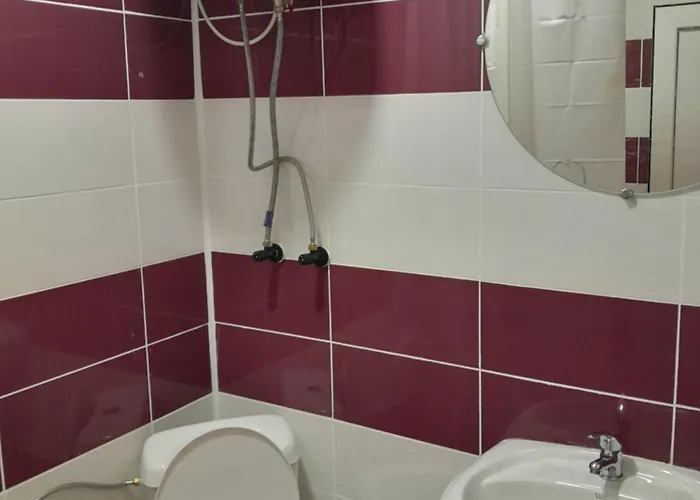 Camelia Guest house Eforie Nord